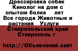 Дрессировка собак (Кинолог на дом с опытом более 10 лет) - Все города Животные и растения » Услуги   . Ставропольский край,Ставрополь г.